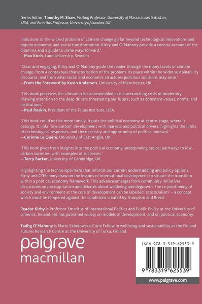 Produktbild: The Political Economy of the Low-Carbon Transition