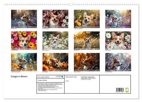 Produktbild: Corgis in Bloom (Wall Calendar 2026 DIN A2 landscape), CALVENDO 12 Month Wall Calendar