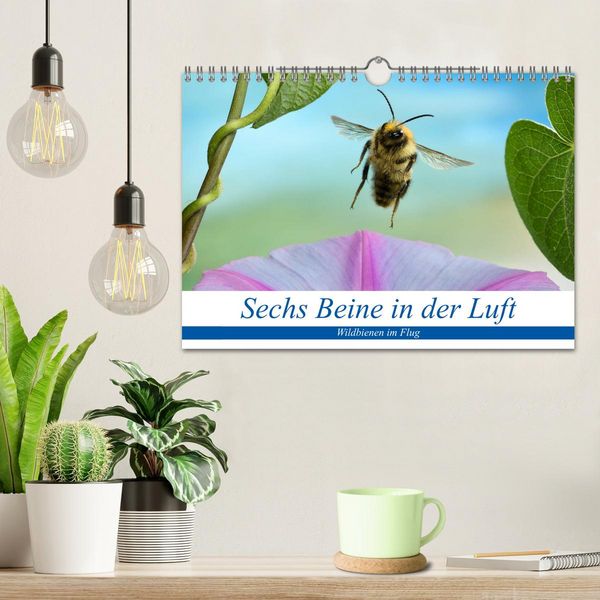 Produktbild: Sechs Beine in der Luft - Wildbienen im Flug (Wandkalender 2026 DIN A4 quer), CALVENDO Monatskalender