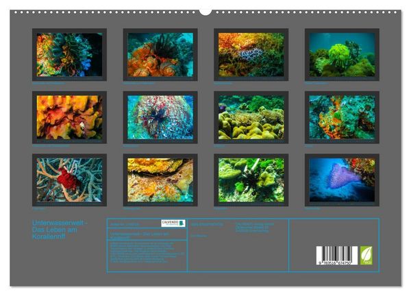 Produktbild: Unterwasserwelt - Das Leben am Korallenriff (hochwertiger Premium Wandkalender 2026 DIN A2 quer), Kunstdruck in Hochglanz