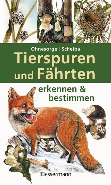 Produktbild: Tierspuren und F&auml;hrten erkennen & bestimmen
