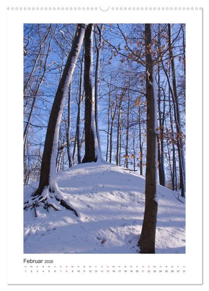 Produktbild: Impressionen aus unserem Wald (hochwertiger Premium Wandkalender 2026 DIN A2 hoch), Kunstdruck in Hochglanz