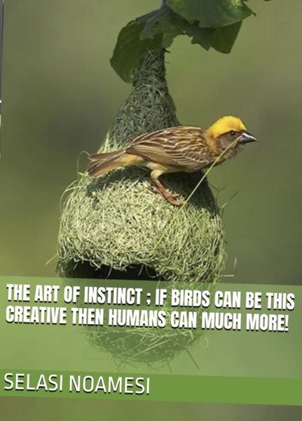 Produktbild: The Art of Instinct: If Birds Can Be This Creative, Then Humans Can Much More!