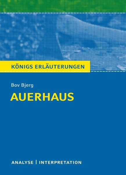 Produktbild: Auerhaus. Königs Erläuterungen.