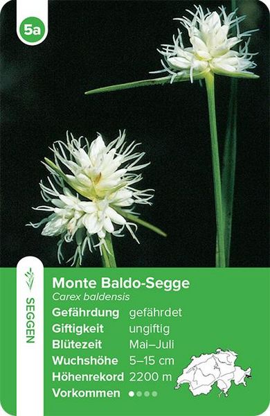 Produktbild: Flora Helvetica &ndash; das Quartett-Spiel