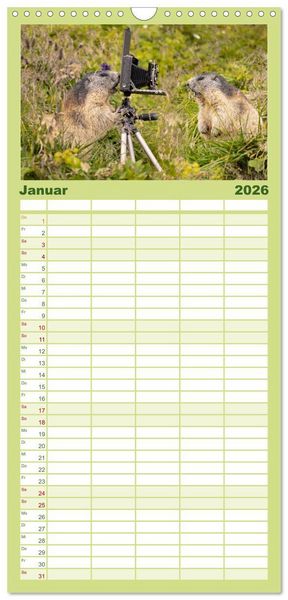 Produktbild: Familienplaner 2026 - Alpenmurmeltiere - Stars vor der Kamera mit 5 Spalten (Wandkalender, 21 x 45 cm) CALVENDO