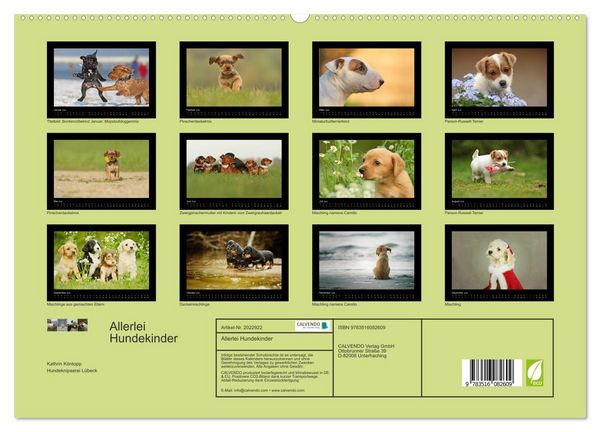 Produktbild: Allerlei Hundekinder (hochwertiger Premium Wandkalender 2026 DIN A2 quer), Kunstdruck in Hochglanz