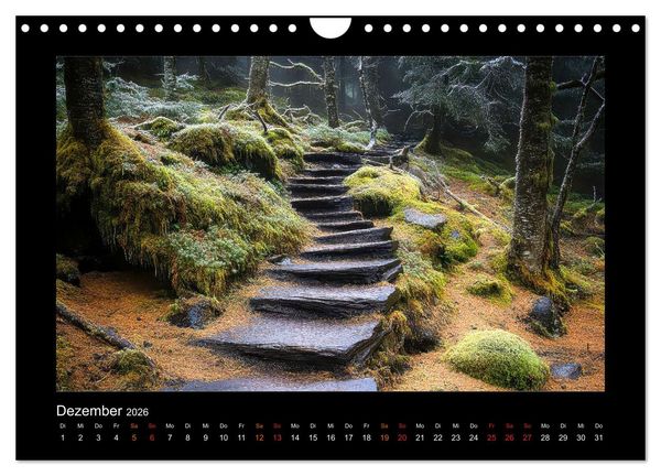 Produktbild: Geheimnisvolle Wege (Wandkalender 2026 DIN A4 quer), CALVENDO Monatskalender