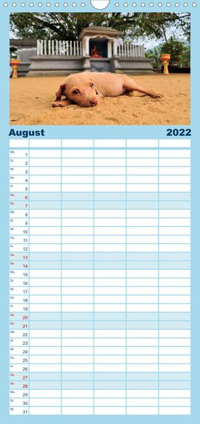 Produktbild: Familienplaner Hunde aus aller Welt (Wandkalender 2022 , 21 cm x 45 cm, hoch)
