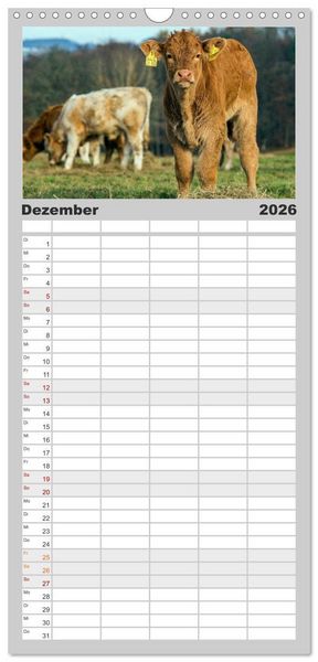 Produktbild: Familienplaner 2026 - Kuh und Co. mit 5 Spalten (Wandkalender, 21 x 45 cm) CALVENDO