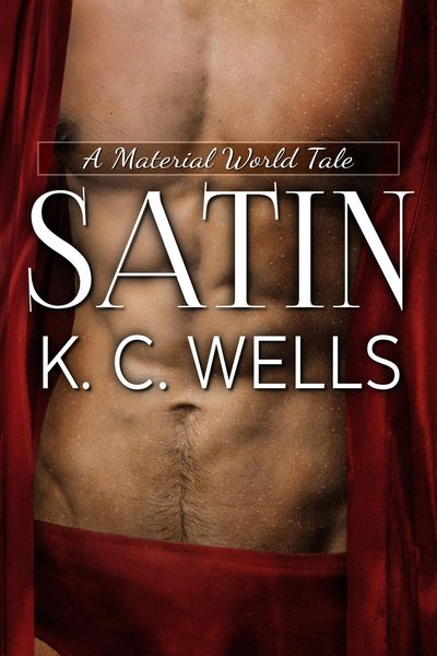 Produktbild: Satin (A Material World, #2)