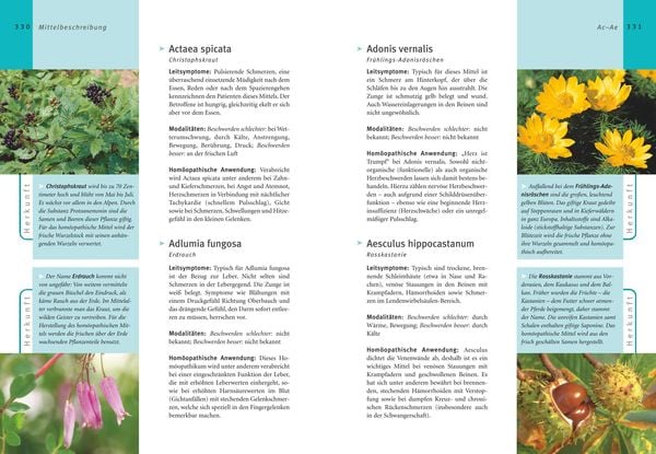 Produktbild: Hom&ouml;opathie - Das gro&szlig;e Handbuch