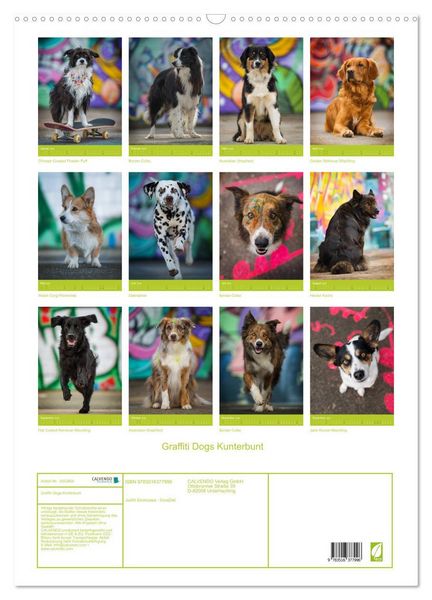 Produktbild: Graffiti Dogs Kunterbunt (Wandkalender 2026 DIN A2 hoch), CALVENDO Monatskalender