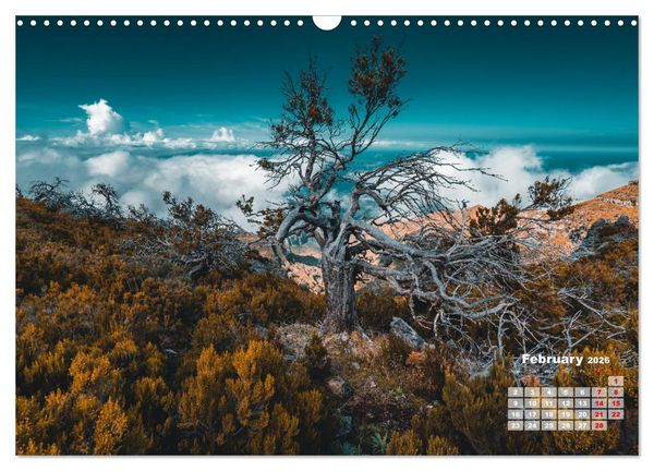 Produktbild: Madeira Island - Portugal (Wall Calendar 2026 DIN A3 landscape), CALVENDO 12 Month Wall Calendar