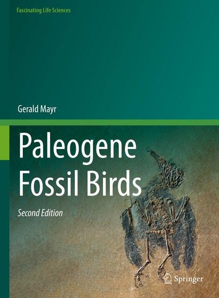 Produktbild: Paleogene Fossil Birds