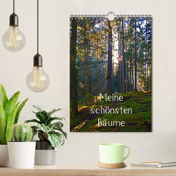 Produktbild: Meine sch&ouml;nsten B&auml;ume (Wandkalender 2026 DIN A4 hoch), CALVENDO Monatskalender