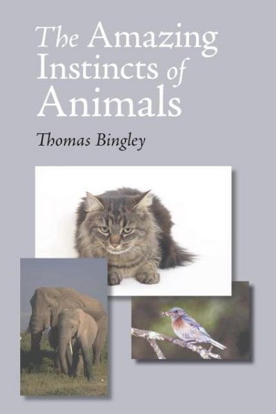 Produktbild: The Amazing Instinct of Animals