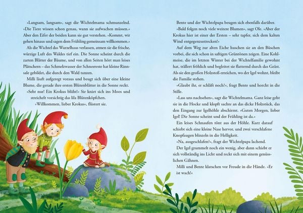 Produktbild: Die Wichtel aus dem Wurzelhaus - Zauberhafte Vorlesegeschichten rund ums Jahr