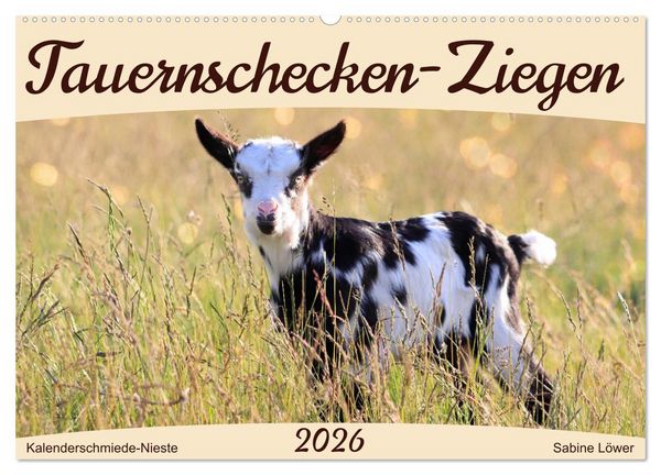 Tauernschecken-Ziegen (Wandkalender 2026 DIN A2 quer), CALVENDO Monatskalender