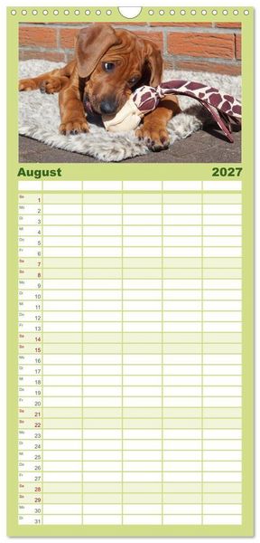 Produktbild: Familienplaner 2027 - Rhodesian Ridgeback - Jung, wild, zuckers&uuml;&szlig; mit 5 Spalten (Wandkalender, 21 x 45 cm) CALVENDO