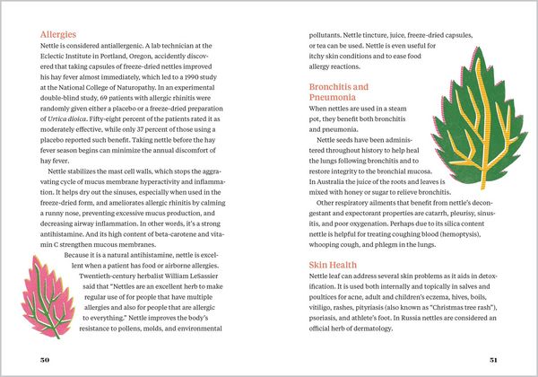 Produktbild: Nettle Power