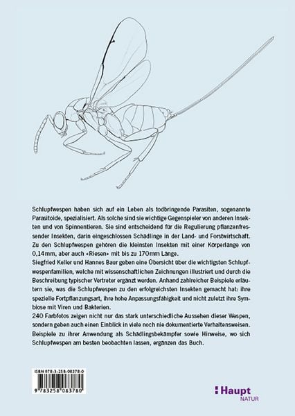 Produktbild: Schlupfwespen