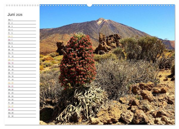 Produktbild: Der Norden von Teneriffa (Wandkalender 2026 DIN A2 quer), CALVENDO Monatskalender