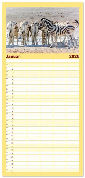 Produktbild: Familienplaner 2026 - Zebras in Afrika mit 5 Spalten (Wandkalender, 21 x 45 cm) CALVENDO