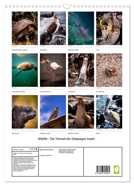 Produktbild: Wildlife - Die Tierwelt der Galapagos Inseln (Wandkalender 2026 DIN A3 hoch), CALVENDO Monatskalender