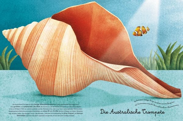 Produktbild: Das gro&beta;e Buch der Seetiere. Das kleine Buch der Seetiere