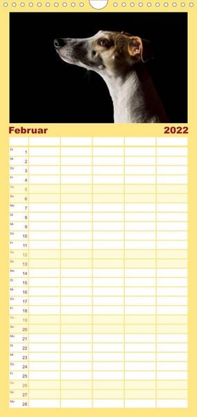 Produktbild: Familienplaner Bunte Pfoten (Wandkalender 2022 , 21 cm x 45 cm, hoch)