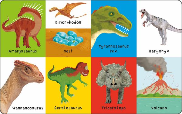 Produktbild: First 100 Dinosaurs
