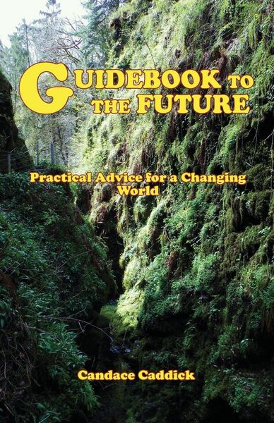 Produktbild: Guidebook to the Future