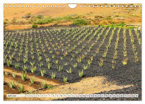 Produktbild: Fuerteventura &ndash; Von Str&auml;nden und Bergen (Wandkalender 2026 DIN A4 quer), CALVENDO Monatskalender
