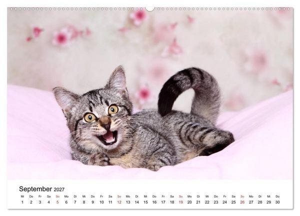 Produktbild: lach mit...just smile (hochwertiger Premium Wandkalender 2027 DIN A2 quer), Kunstdruck in Hochglanz
