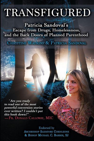 Produktbild: Transfigured