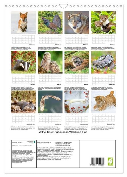 Produktbild: Wilde Tiere: Zuhause in Wald und Flur (Wandkalender 2026 DIN A3 hoch), CALVENDO Monatskalender