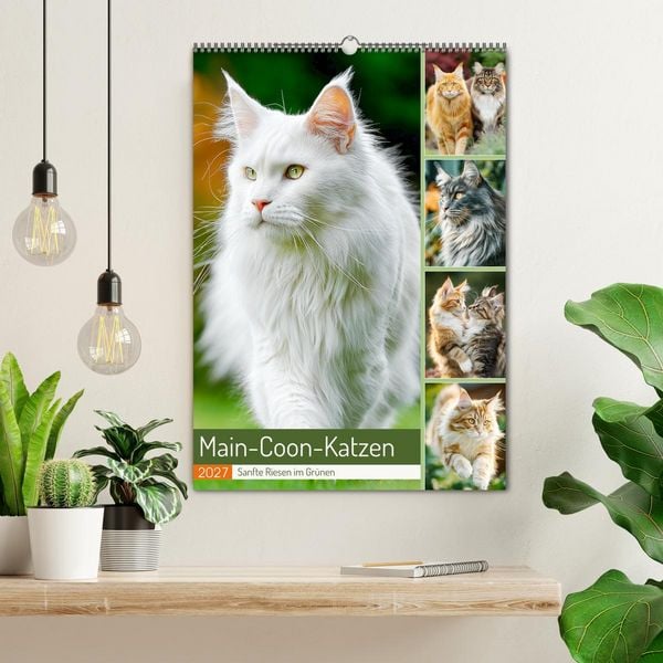 Produktbild: Main-Coon-Katzen. Sanfte Riesen im Gr&uuml;nen (Wandkalender 2027 DIN A2 hoch), CALVENDO Monatskalender