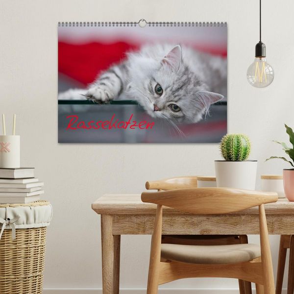Produktbild: Rassekatzen (Wandkalender 2026 DIN A3 quer), CALVENDO Monatskalender