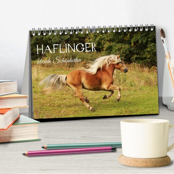 Produktbild: Haflinger - blonde Sch&ouml;nheiten (Tischkalender 2027 DIN A5 quer), CALVENDO Monatskalender