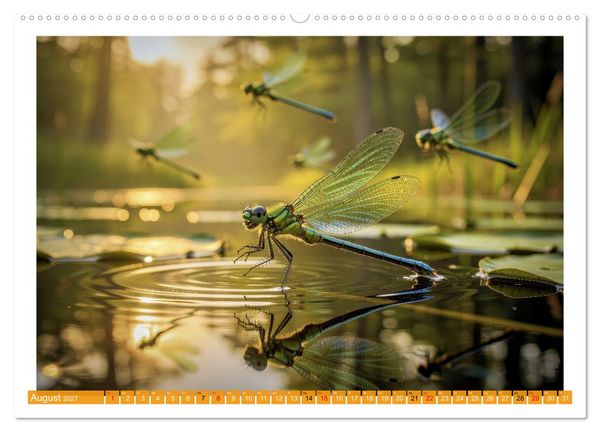 Produktbild: Prachtlibellen am Teich (Wandkalender 2027 DIN A2 quer), CALVENDO Monatskalender