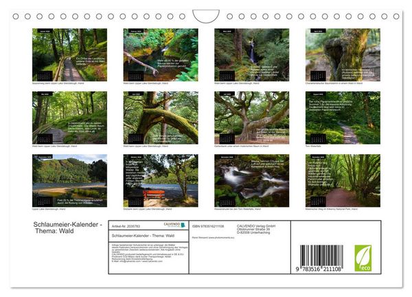 Produktbild: Schlaumeier-Kalender - Thema: Wald (Wandkalender 2026 DIN A4 quer), CALVENDO Monatskalender