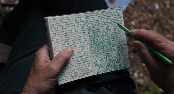 Produktbild: Peter Handke - Bin im Wald. Kann sein, da&szlig; ich mich versp&auml;te