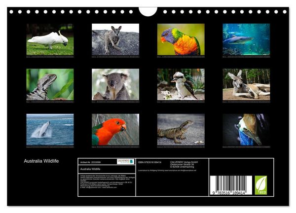 Produktbild: Australia Wildlife (Wandkalender 2026 DIN A4 quer), CALVENDO Monatskalender