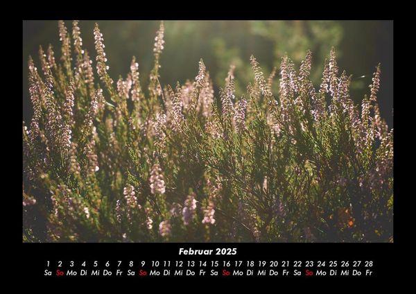 Produktbild: Blumenkalender 2025 Fotokalender DIN A3