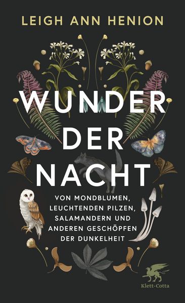 Produktbild: Wunder der Nacht