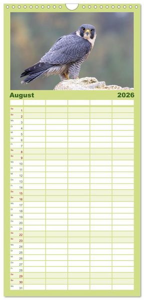 Produktbild: Familienplaner 2026 - Europas Greifv&ouml;gel und Eulen mit 5 Spalten (Wandkalender, 21 x 45 cm) CALVENDO
