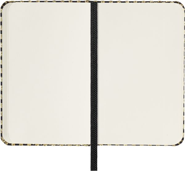 Produktbild: Moleskine Shine Notizbuch, XS, Blanko, gold