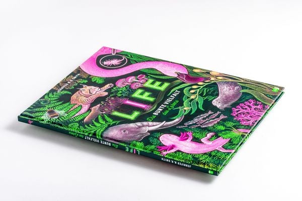 Produktbild: LIFE &ndash; Die bunte Vielfalt des Lebens