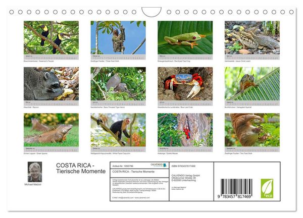 Produktbild: COSTA RICA - Tierische Momente (Wandkalender 2026 DIN A4 quer), CALVENDO Monatskalender